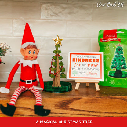 Holiday Magic Themed Elf Kit | Best 2024 Elf Kit | 24 Day Christmas Holiday Elf Kit | Crafty Elf Props and Antics